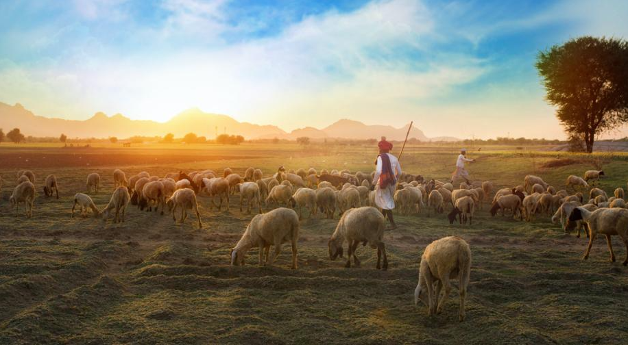 Generosità con prudenza