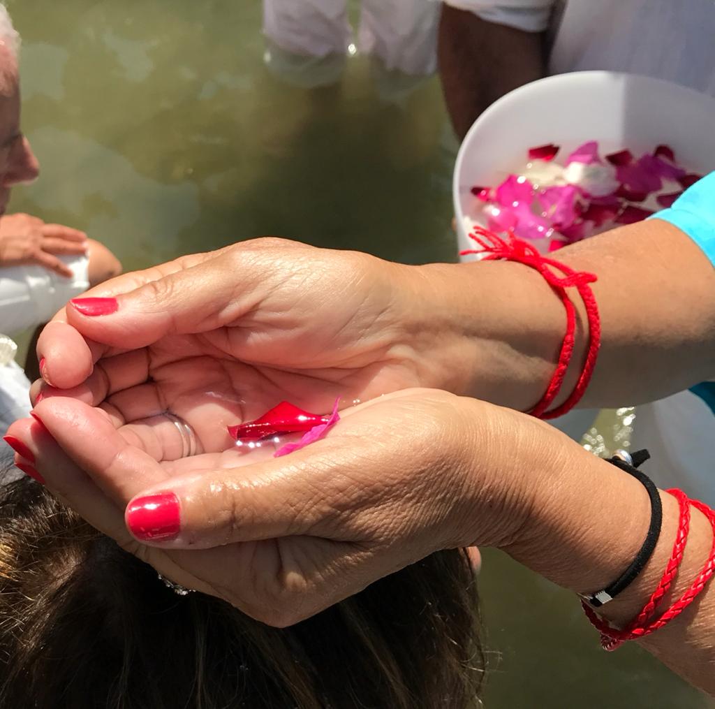 Enseñanza: vita con coscienza