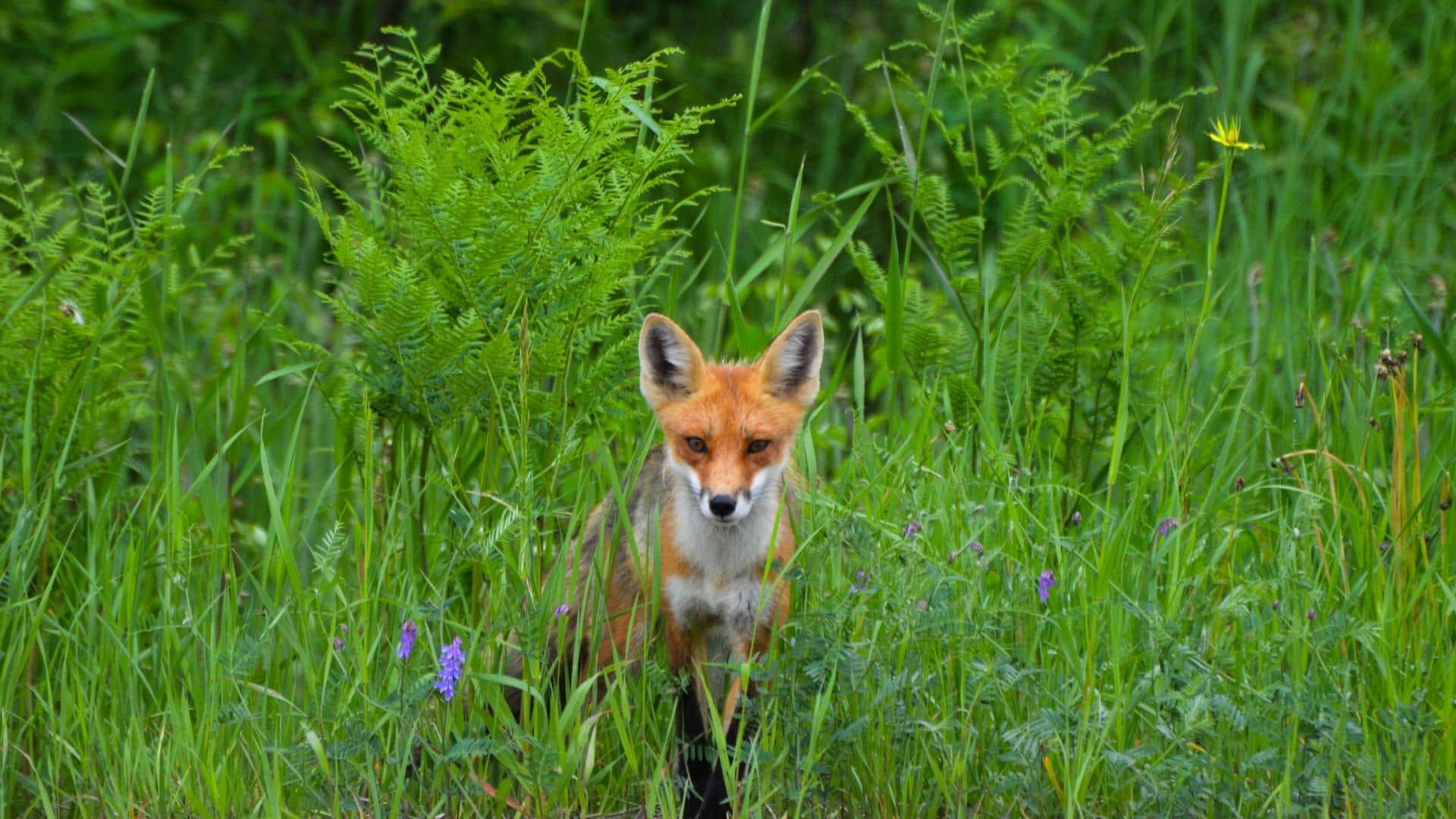 La tua felicità prima di tutto