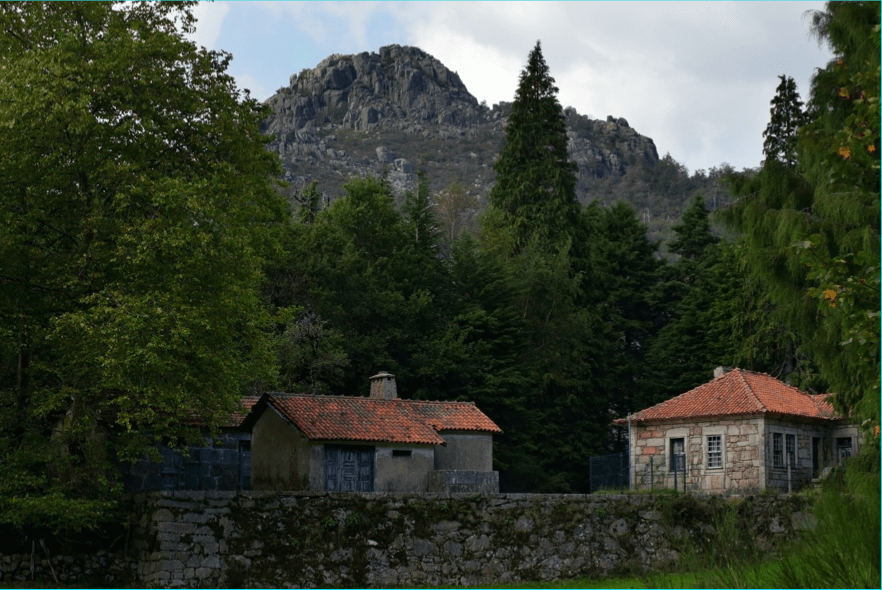 L'Entusiasmo Ci Fa Vivere