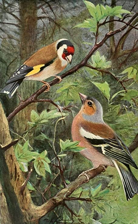 Aprender la fuerza de equipo