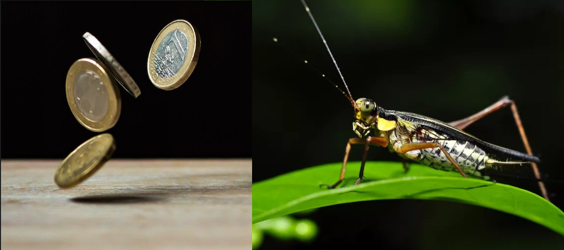 Saper ascoltare è saggezza