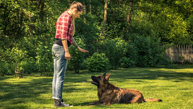 Escucha, Observa Y Aprende