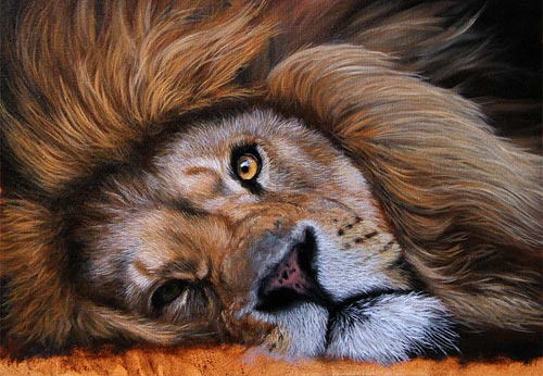 Fiducia e speranza nel futuro