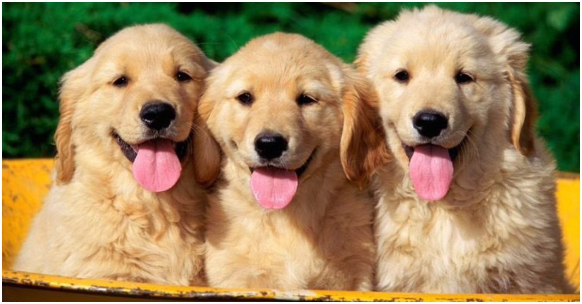 La tua convinzione, la tua forza