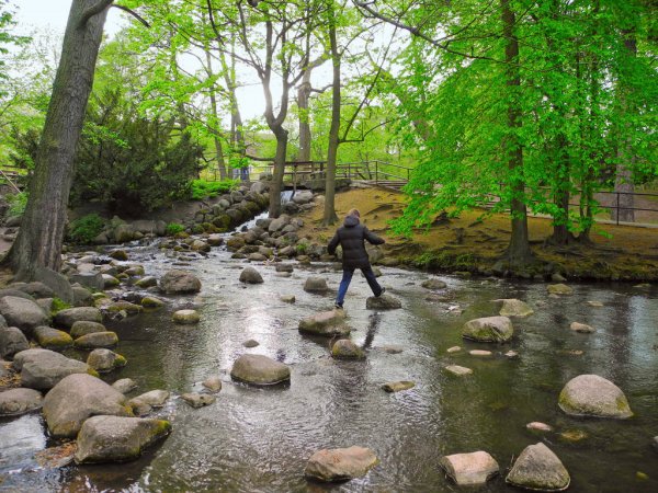 Il tuo obiettivo realizzalo con speranza