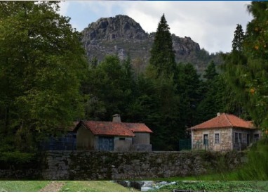 Os sonhos nos fazem viver